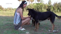 Lovely amazing girl playing with groups of baby cute dog - funny cute dog part 15