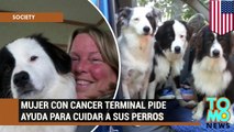 Mujer con cáncer terminal busca desesperadamente a alguien que adopte a sus perros