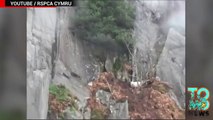 Voluntarios rescatan a una oveja atrapada en un acantilado en las montañas de Gales