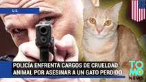 Policía que mato a un gato perdido se podría enfrentar a cargos de crueldad animal