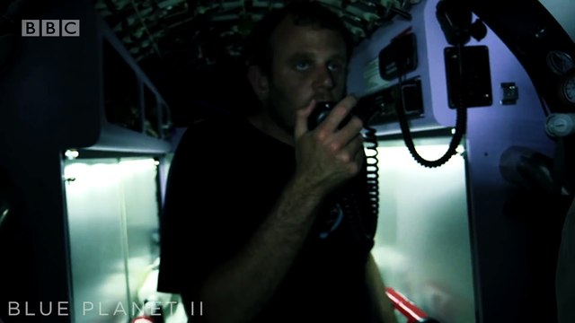 20-FOOT-LONG SHARKS ATTACK SUBMARINE THINKING IT’S TRYING TO STEAL THEIR FOOD