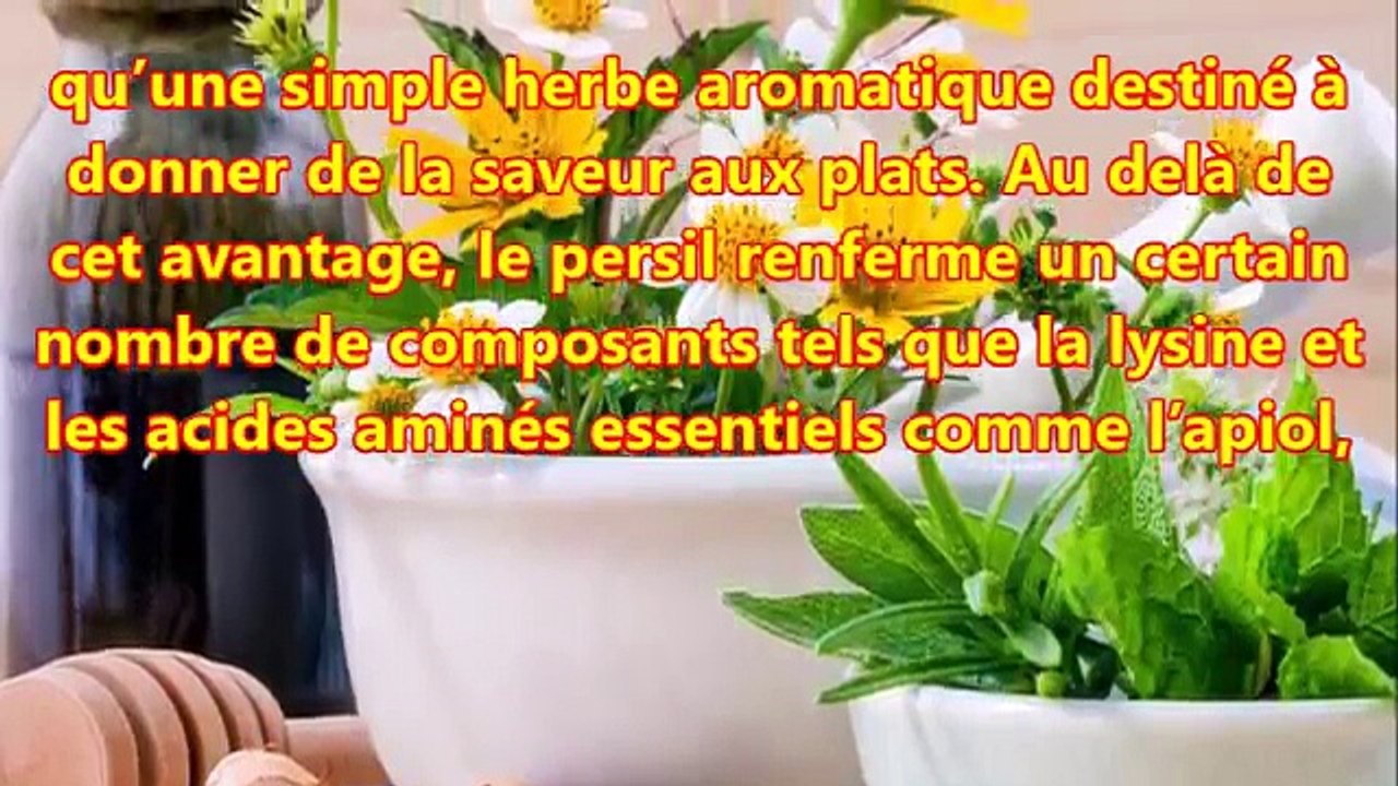 Boisson brûle graisse à base de persil et de gingembre pour un résultat rapide et manifeste