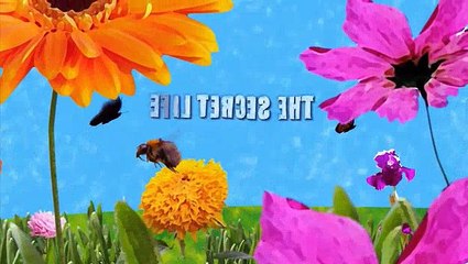 The Secret Life Of The American Teenager S04 E22 The Text Best Thing