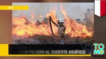 Contaminación ambiental en Indonesia esta afectando todo el sudeste asiático