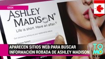 Aparecen varios sitios web para buscar detalles del hackeo a Ashley Madison