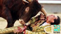 Torero español sobrevive luego de ser corneado en el cuello durante corrida en Las Ventas