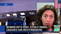 Mujer drogada roba una serpiente y luego se estrella contra una estación de bomberos