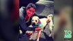 Crueldad contra los animales: Policía en Maryland corta el cuello de un perro extraviado