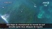 Requins: une épreuve mondiale de surf annulée en Australie