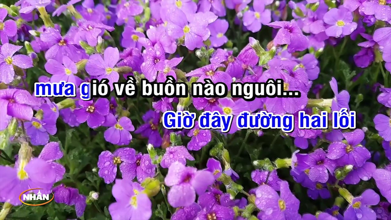 Mưa Đêm Tỉnh Nhỏ (Karaoke Beat) - Tone Nam (Phối Mới) ✔