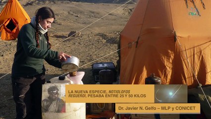 ¡Descubren una nueva especie de animal en la Antártida!