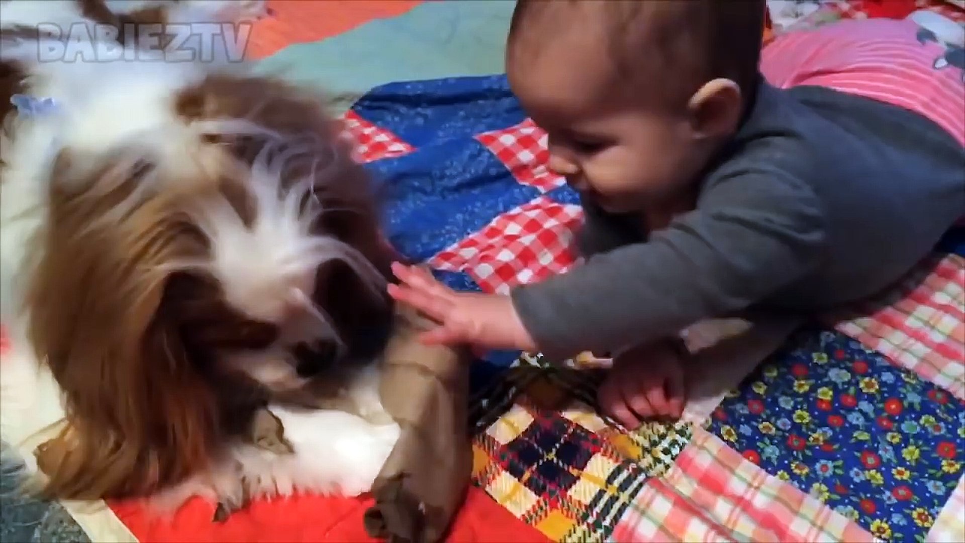 adorable babies playing with dogs and cats