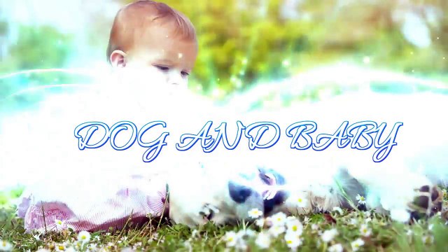 Baby Laughing at Labrador Dog because they are best friends _ Dog loves Baby Compilation
