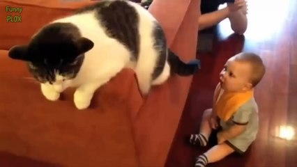Cute Cats and Dogs Love Babies Compilation
