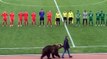 Bear handing the ball to referee in Russian 3rd league!!!!
