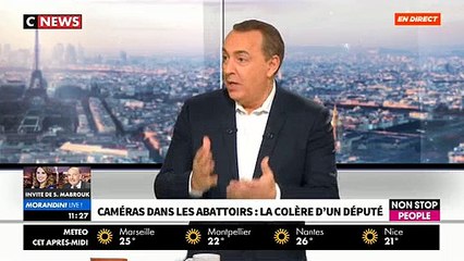 EXCLU - Caméras dans les abattoirs: Le député Olivier Falorni lance en direct un appel à Emmanuel Macron - VIDEO