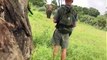 Un guide empêche l'attaque d'un éléphant