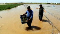 Seraları basan su yüz binlerce liralık zarara neden oldu