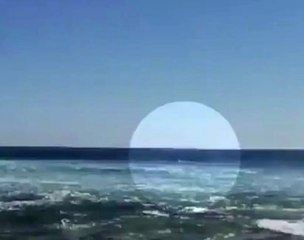 Avustralya'da Köpekbalığı, Sörf Yapan Sporcuya Saldırdı