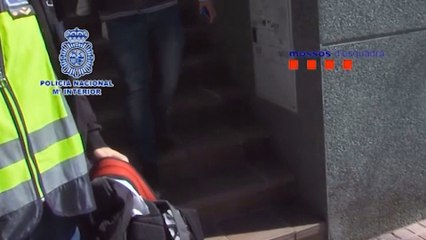 Detienen a 46 personas acusadas de falsificación documental