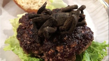 Un restaurant sert des burgers garnis d’une grosse tarentule