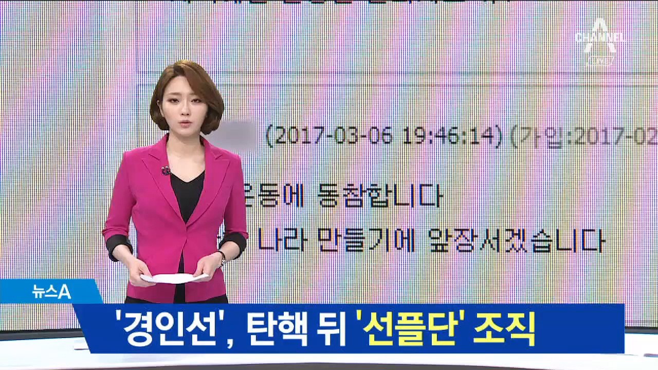 文 지지 ‘경인선’, 박근혜 탄핵 뒤 ‘선플’ 운동