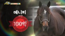 [Haha Land 2] 하하랜드2 -A horse worth 10 billion won 20180418