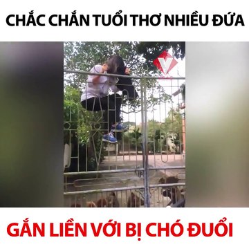 Hồi bé t cũng chạy thế đéo lệch đi đâu được =))) Gặp cảnh này bọn m đừng chạy nhanh làm gì.. cứ tỏ ra bình tĩnh và từ từ nhìn vào mắt nó ... và dù gì cũng bị nó