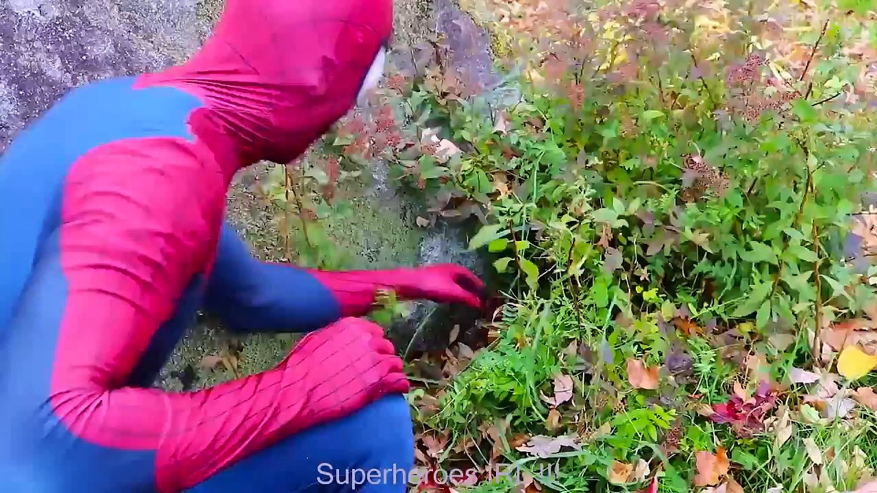 Frozen Elsa Kissing The Joker Jealous Spiderman Princess Toys Superhero Fun in real life