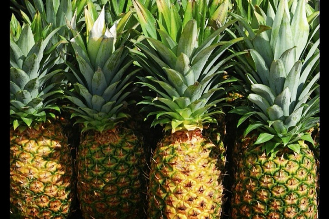 Pineapple Maruthuvam