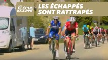 Les échappés sont rattrapés - La Flèche Wallonne 2018