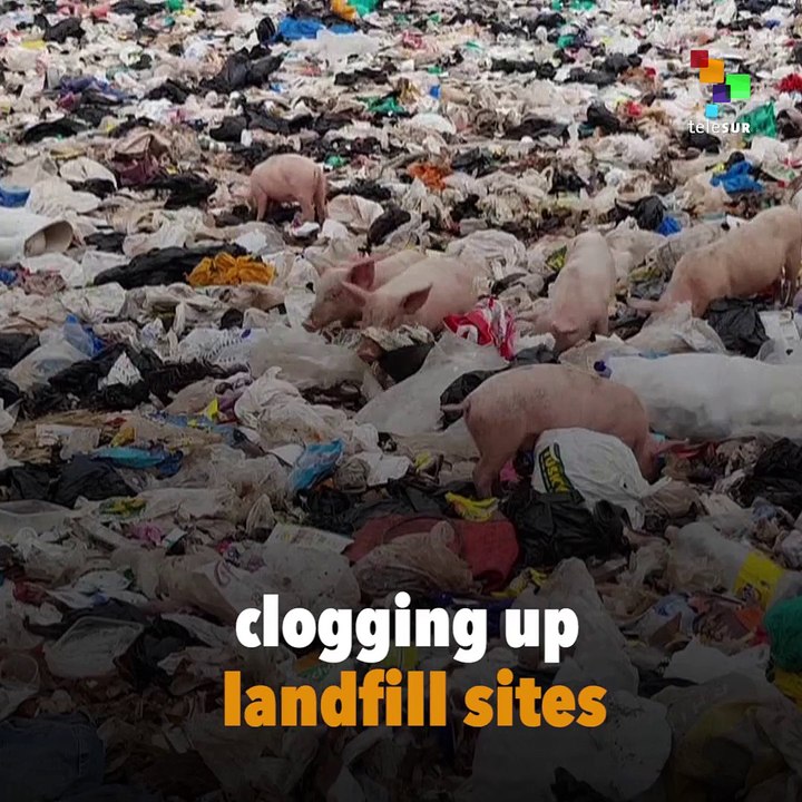 PlasticEating Mutant Enzyme Could Save The video Dailymotion