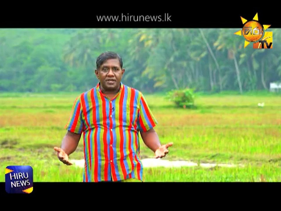 අලුත් අවුරුද්දට තවත් හෝරා කිහිපයයි #Hirunews