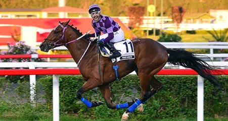 Erken Seçim Kararı Gazi Koşusunu da Erteledi