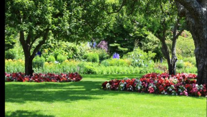 Luceros Landscaping and painting company LLC - (719) 247-3334