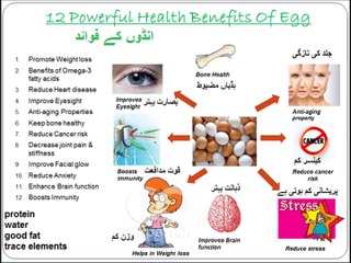 Class 3 English, 1 vowels