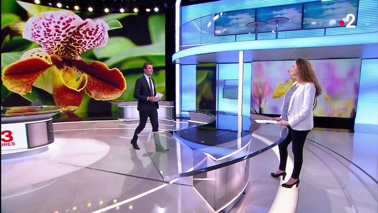 Jardinage : les bons réflexes à adopter avec l'arrivée des beaux jours