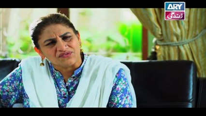 Mein Mehru Hoon Episode 104 & 105  - ARY Zindagi