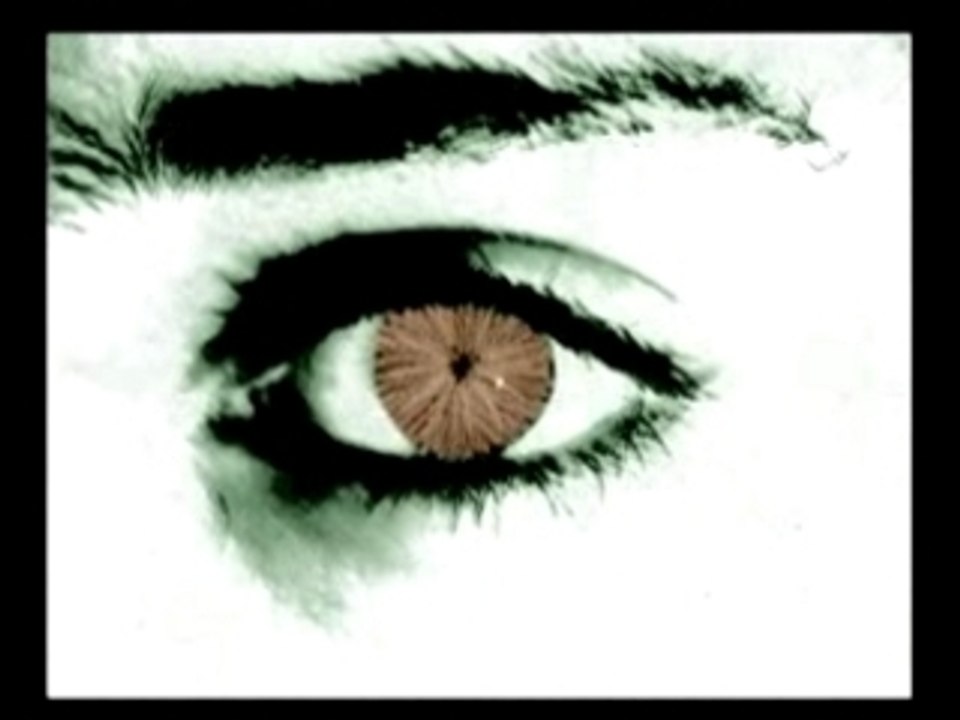 Soldat de plomb ou d'argent? - ERIC PANIC -