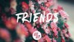 Subtact - Friends (Lyrics / Lyric Video) feat. Bri Tolani