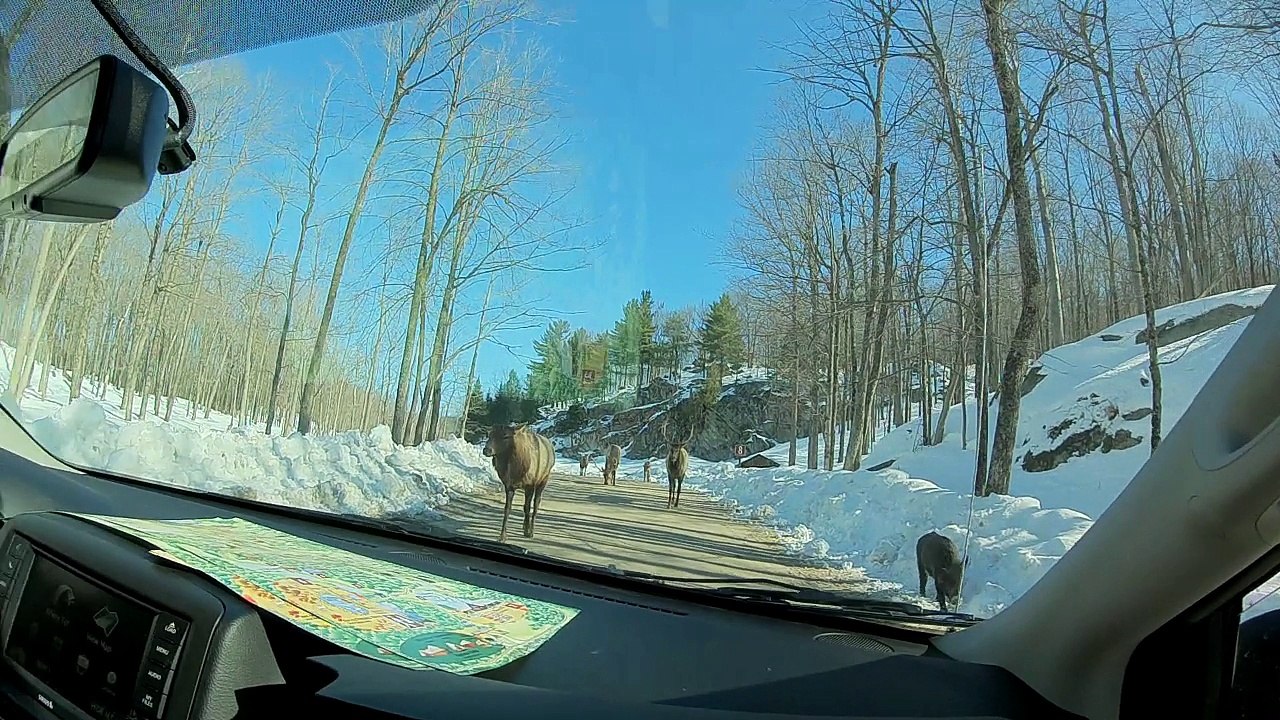 Canada