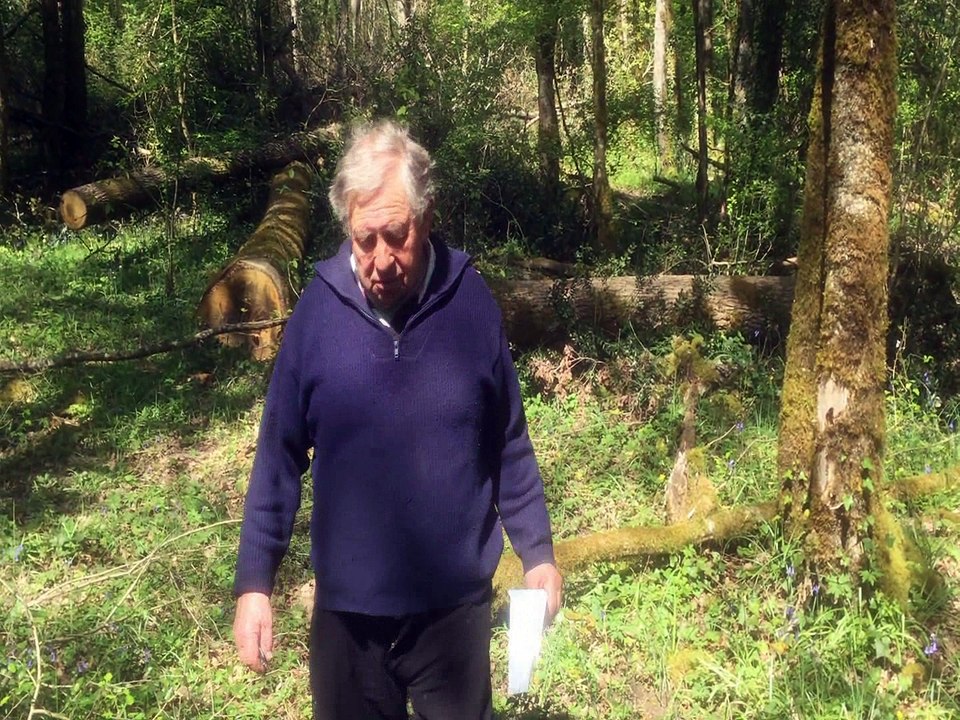 Coupe de bois à Louzac