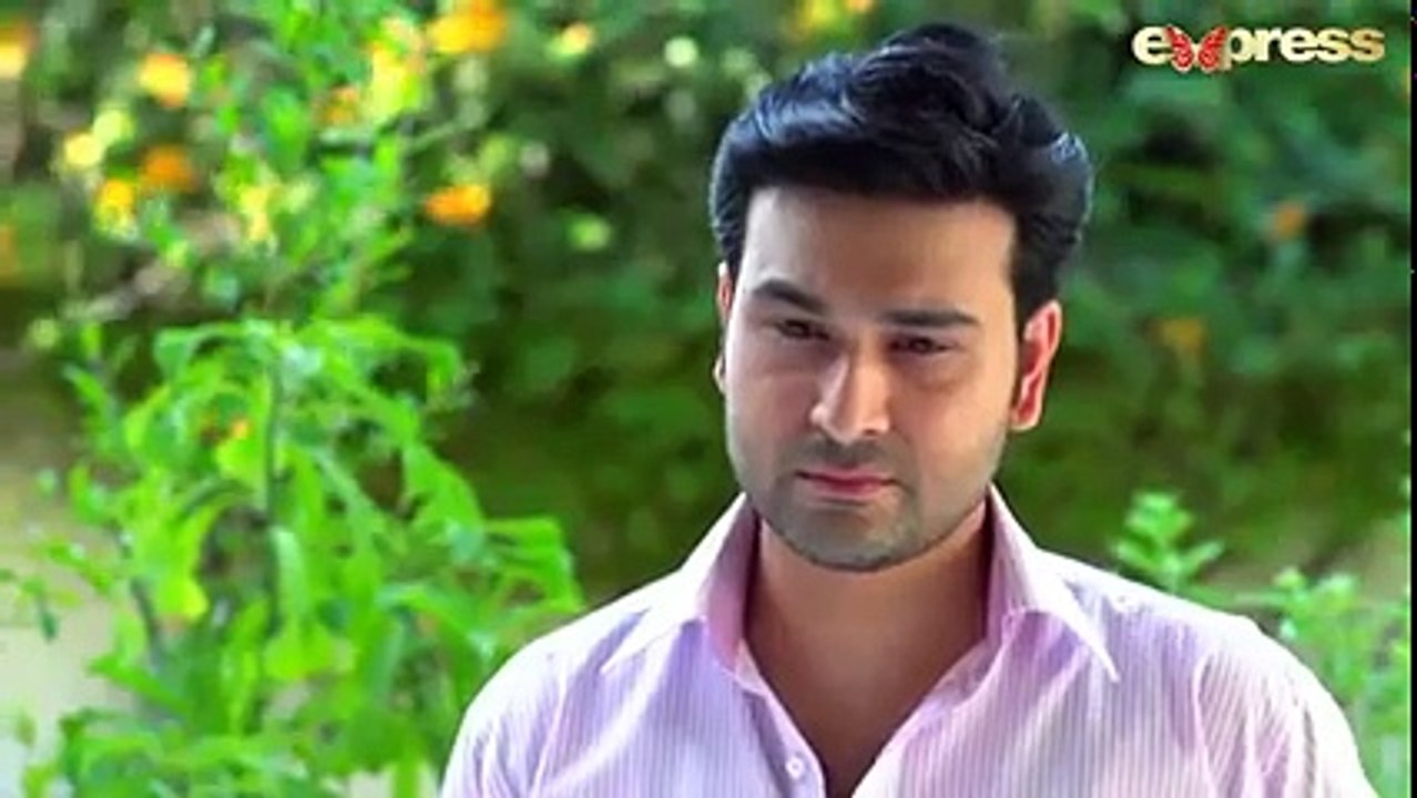 Apney Paraye Last Episode 81