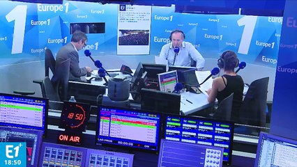 Nouvelle-Zélande : des moyens colossaux pour retrouver les chiens perdus