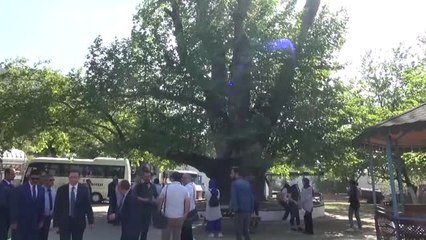 Turizm Haftası Etkinlikleri