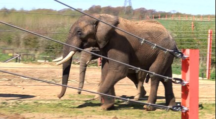 Fun in the Sun at Noah's Ark