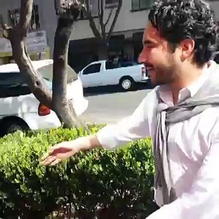 Me encontré al amor de mi vida - Vines en Españ...