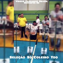 olha a que ponto um coleiro na roda faz o cara chegar kkk