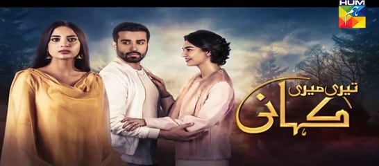 Teri Meri Kahani Episode #18 Promo HUM TV Drama - dailymotion