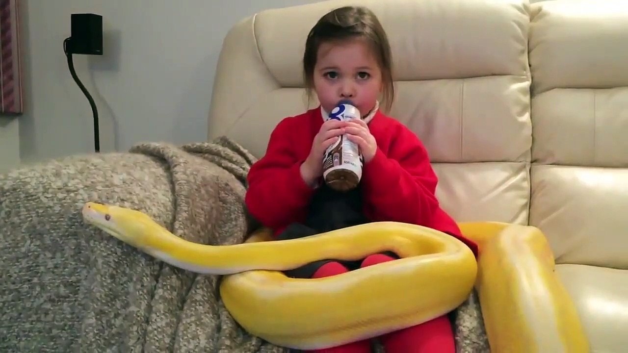 Cette fillette regarde la TV avec un serpent géant sur les genoux